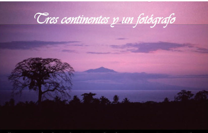 La mirada Robert Royal