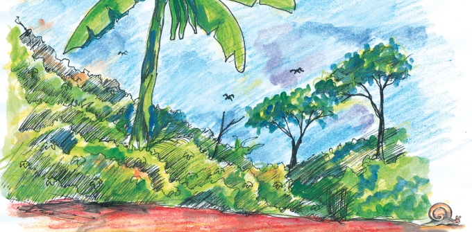 Cuentos del bosque en fang