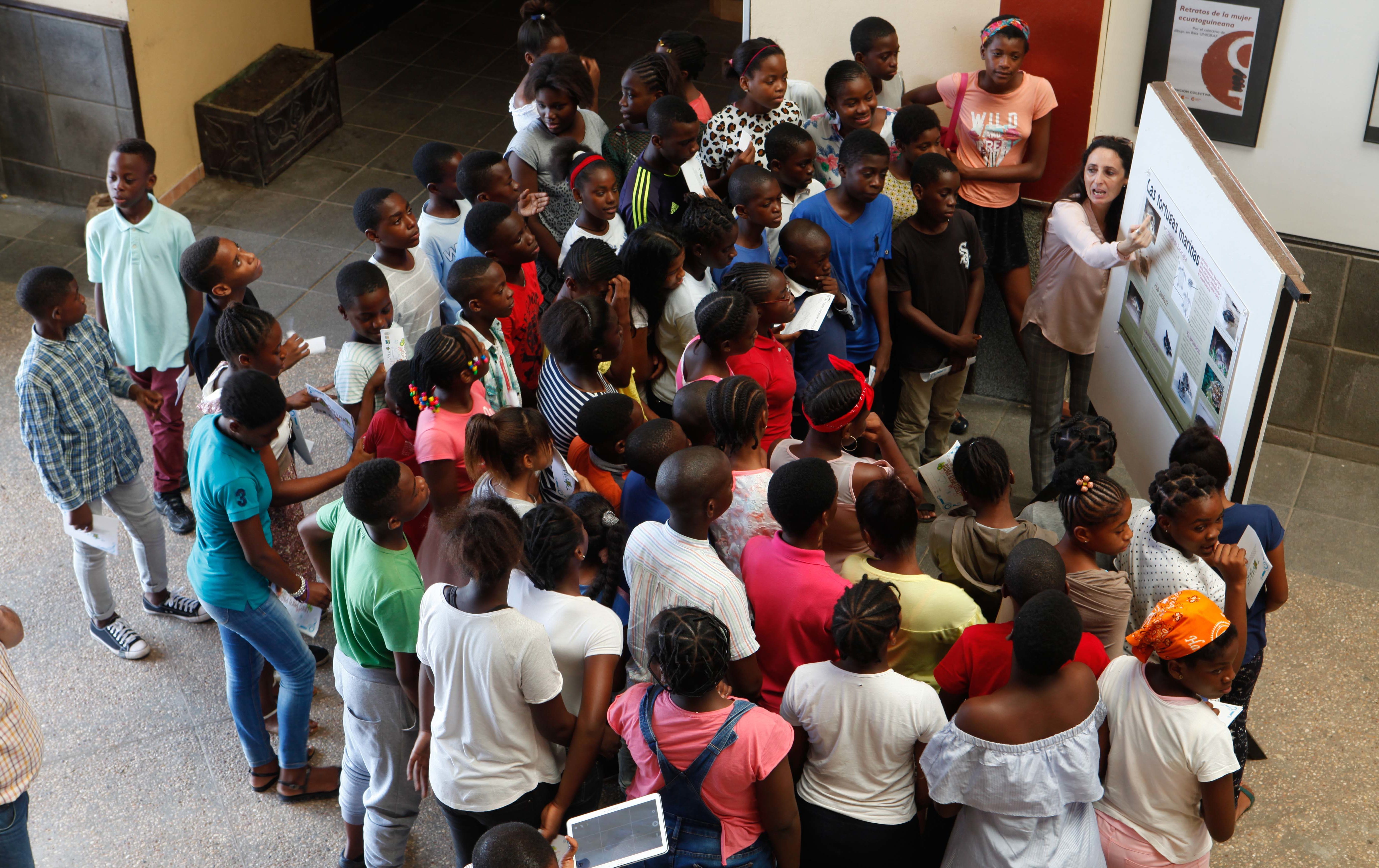 Desvelando el secreto del bosque