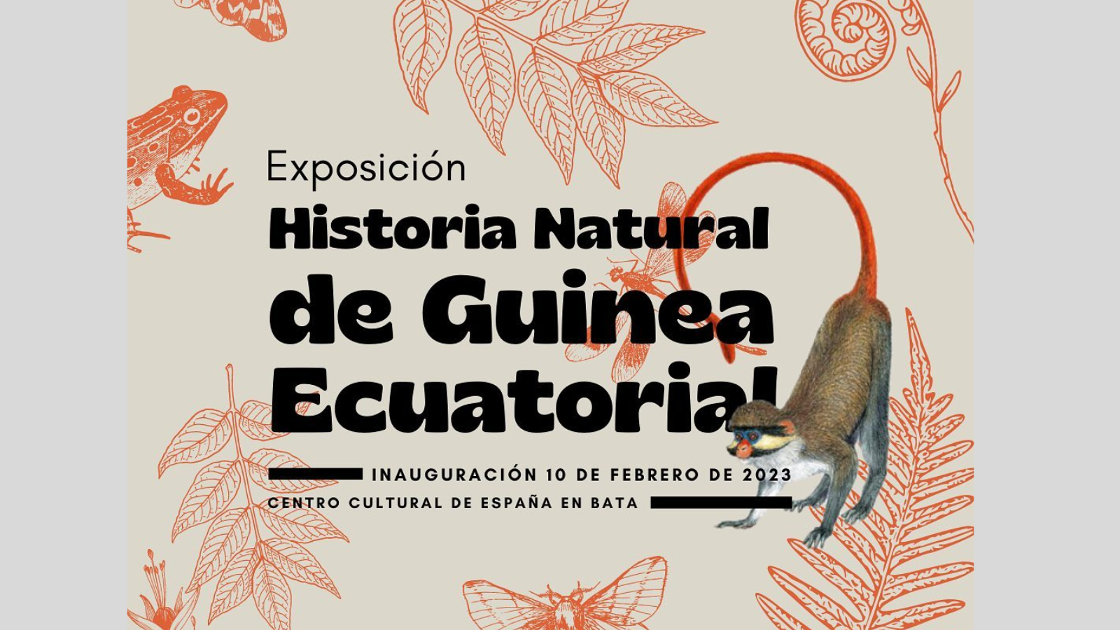 Exposicin
