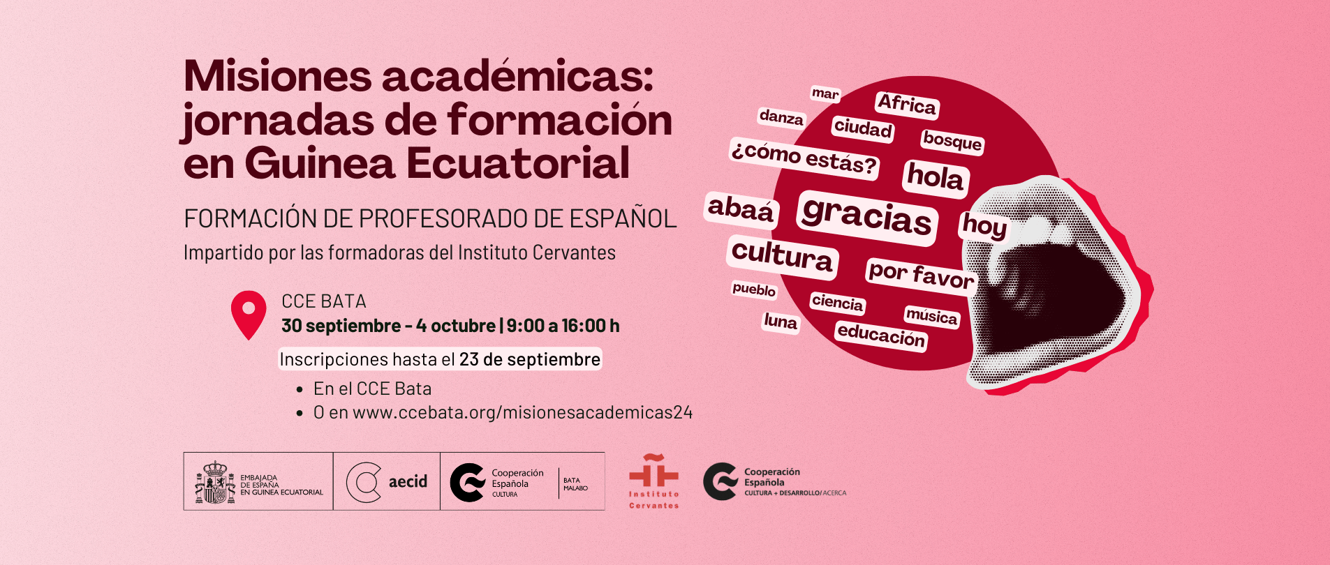 Misiones Acadmicas Formacin de profesorado de espaol