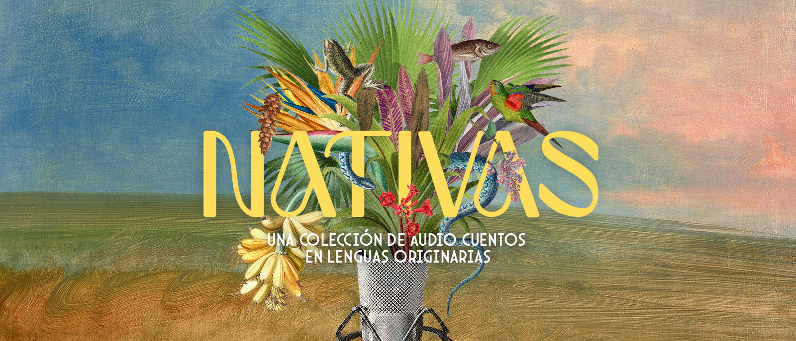 Nativas Cuentos en Red 2025