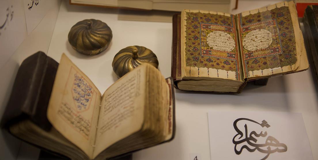 Muestra de la expo
